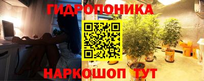 каннабис Камышлов