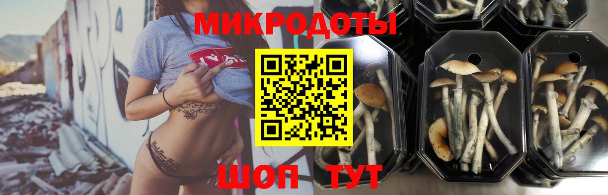где можно купить   Вход с VPN  Кировск  Псилоцибиновые грибы Magic Shrooms 